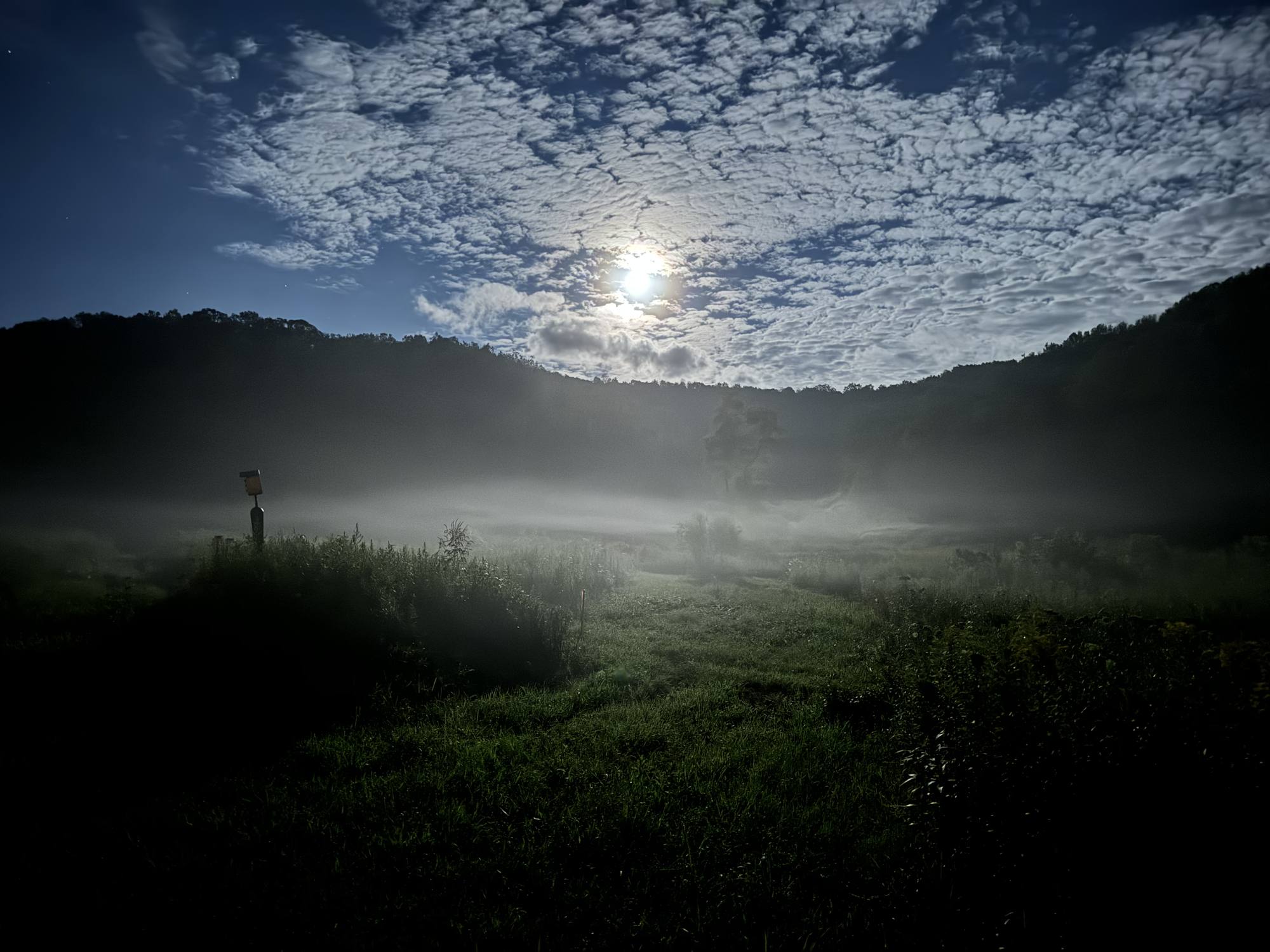 Fog lying over the valley meadow under a moonlit sky